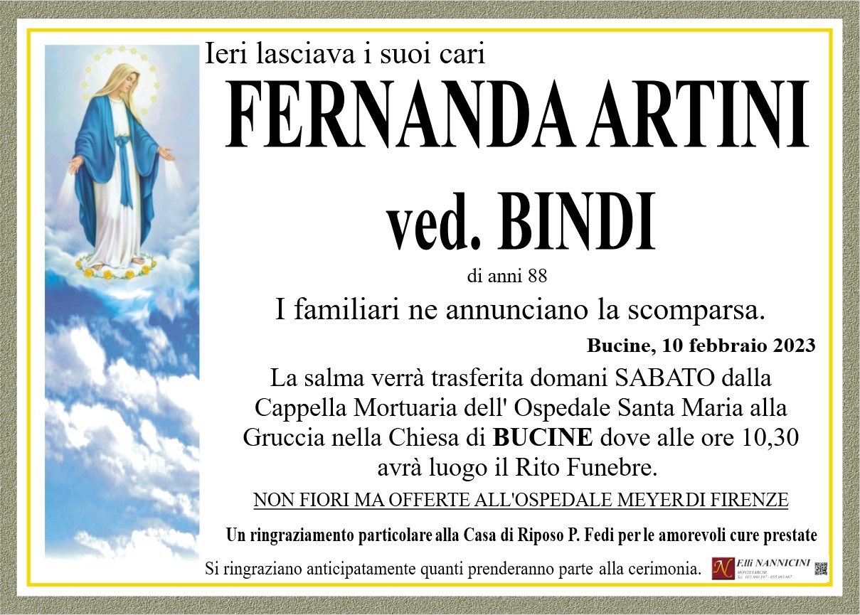ARTINI FERNANDA