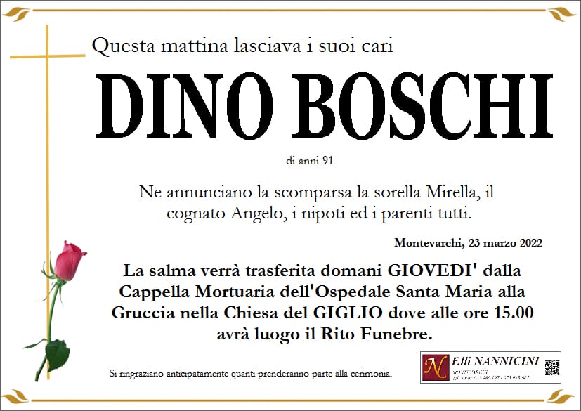 DINO BOSCHI