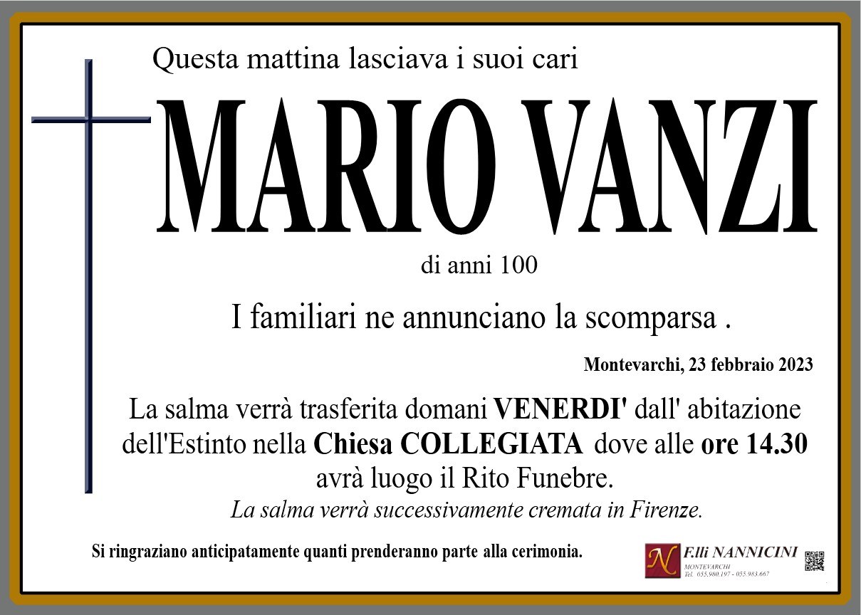 MARIO VANZI