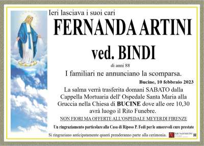 ARTINI FERNANDA