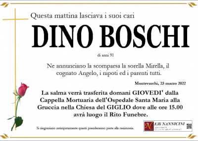DINO BOSCHI