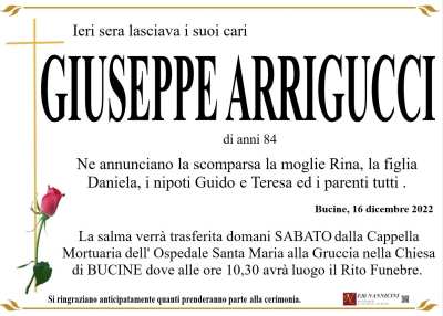 GIUSEPPE ARRIGUCCI