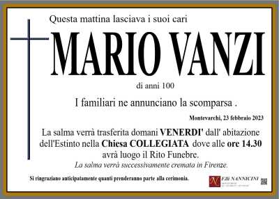 MARIO VANZI